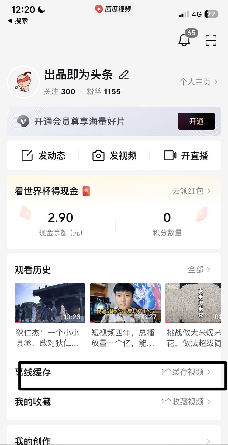 怎么下载视频到手机里，今日头条怎么下载网站视频到手机？图3