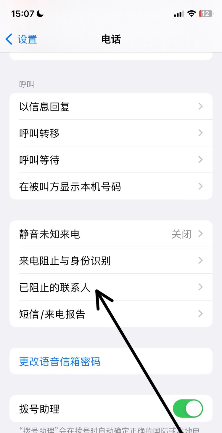 苹果手机如何设置黑名单操作，苹果手机怎么设置黑名单为空号还是童话中？图19