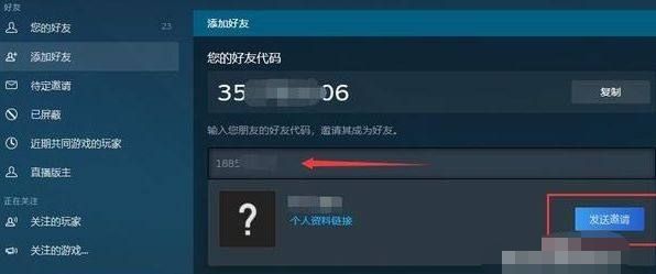 steam搜索不到好友怎么办，steam加好友搜索不到我怎么回事？图4