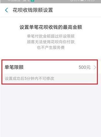 花呗额度如何进行设置？，花呗有额度不能扫大额哪里设置？图8