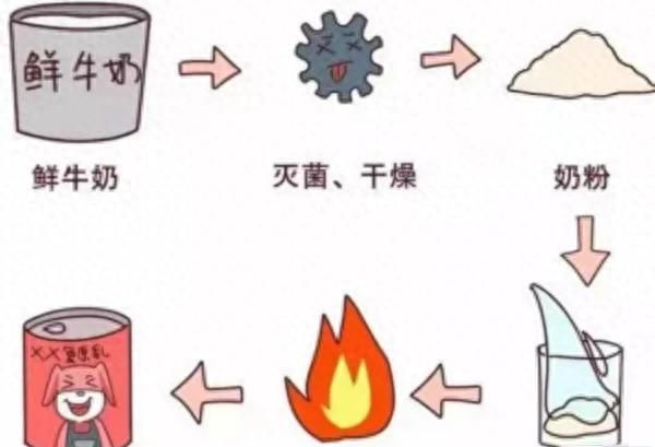 鲜牛奶、纯牛奶、生牛乳、复原乳到底有什么区别？搞懂再买不吃亏