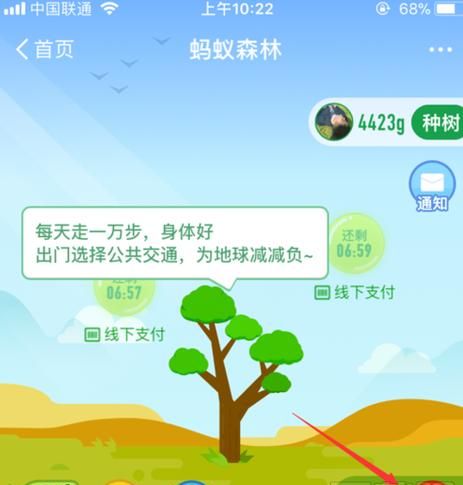 支付宝蚂蚁森林怎么不让别人收