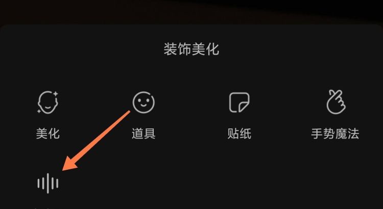 抖音拍视频怎么变声，抖音怎么拍出变声效果视频，拍抖音和头条视频怎么变声？图45