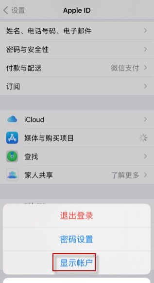 苹果iphone怎么注销AppID账号登陆？，苹果App怎么注销？图5