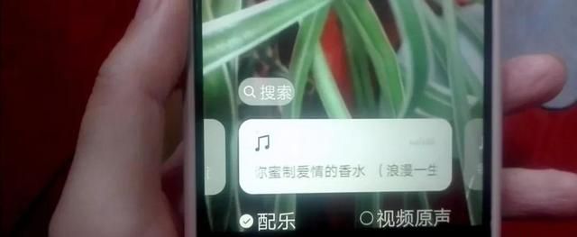 微信发照片和视频怎样添加文字和音乐？操作简单，老人也能学会